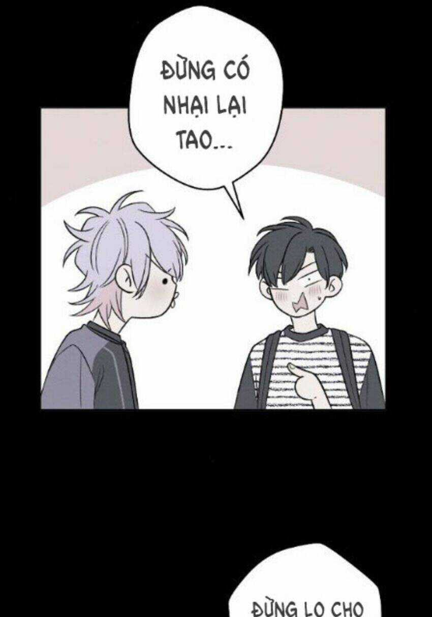 Nice To Meet You - Chapter 64 - Trang 12