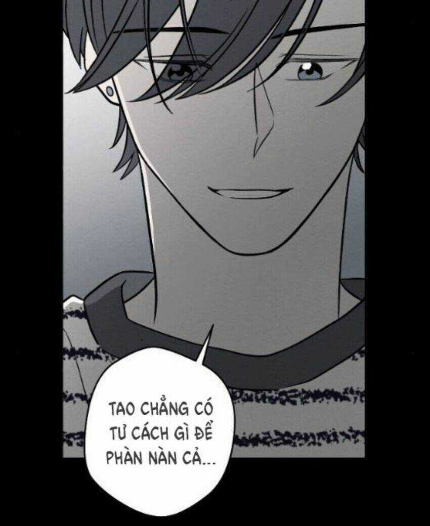 Nice To Meet You - Chapter 64 - Trang 15