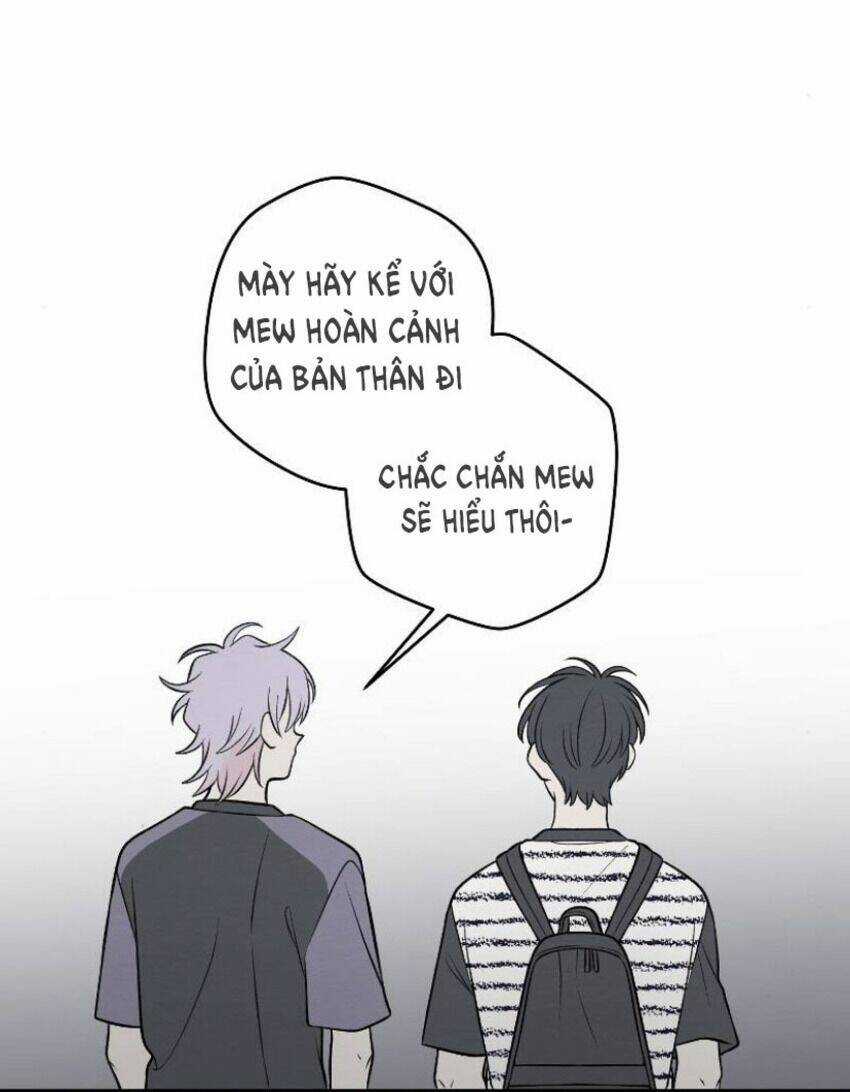 Nice To Meet You - Chapter 64 - Trang 19