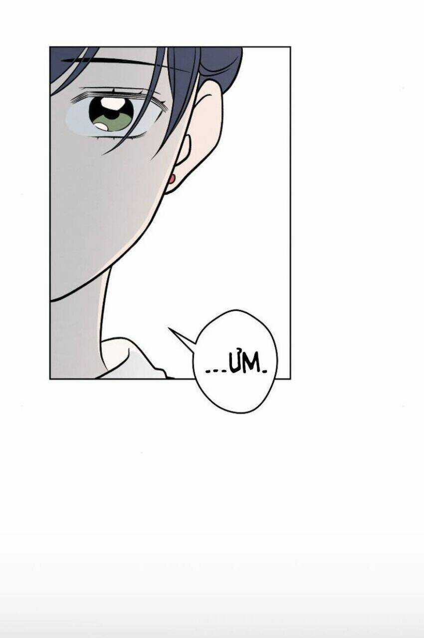 Nice To Meet You - Chapter 64 - Trang 42