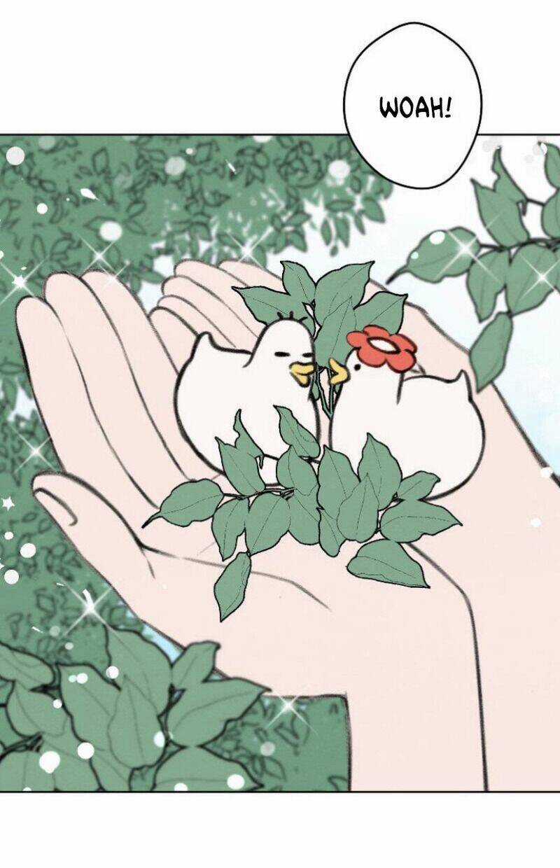 Nice To Meet You - Chapter 65 - Trang 25