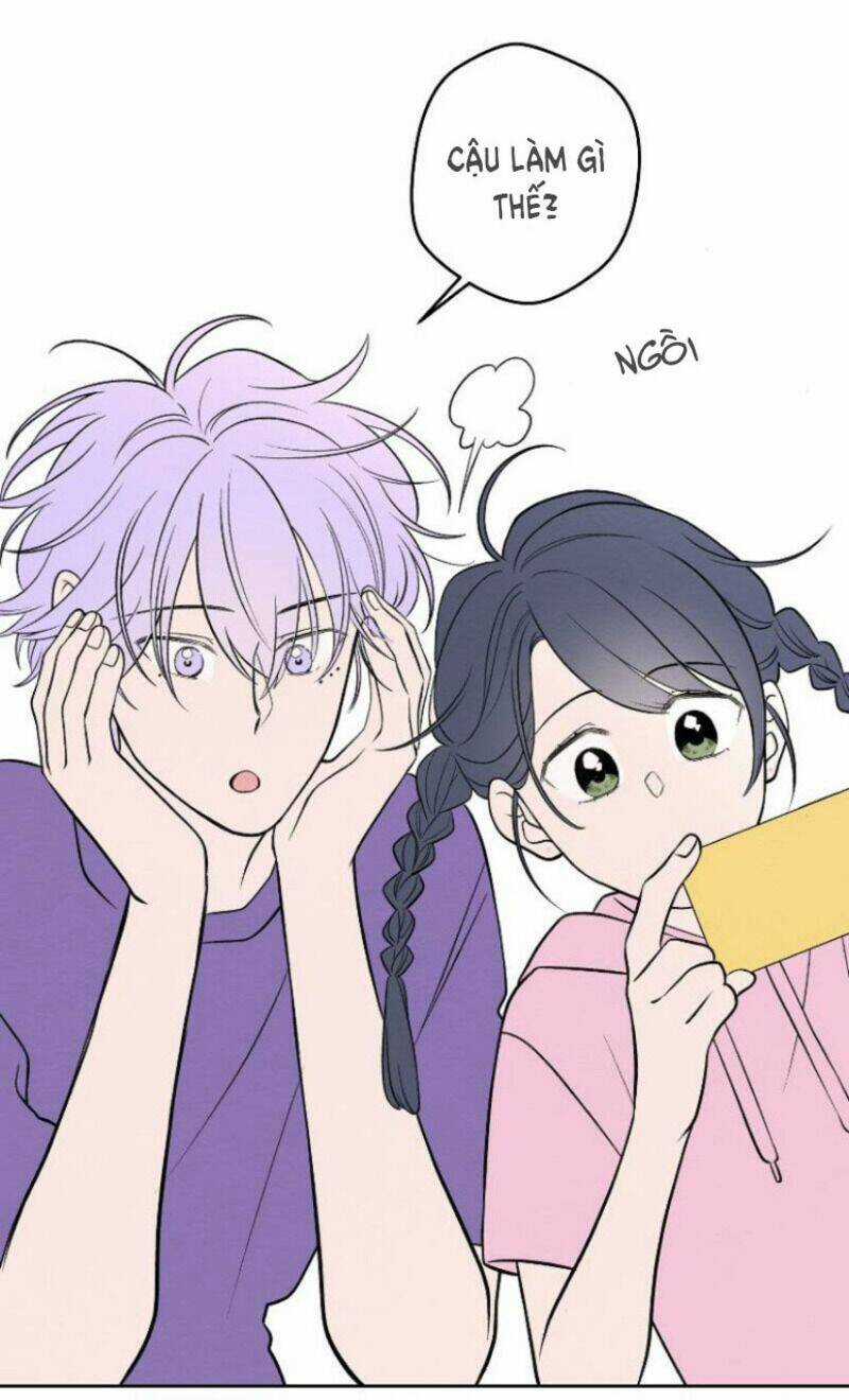 Nice To Meet You - Chapter 65 - Trang 4