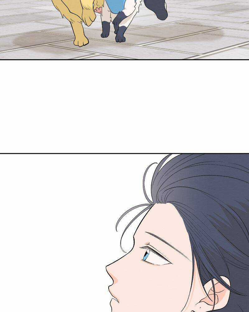 Nice To Meet You - Chapter 71 - Trang 41