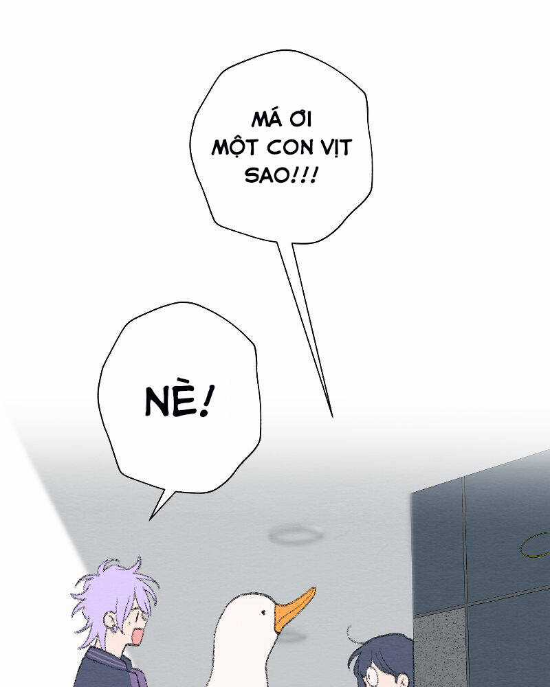 Nice To Meet You - Chapter 76 - Trang 64