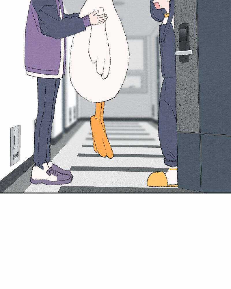 Nice To Meet You - Chapter 76 - Trang 65