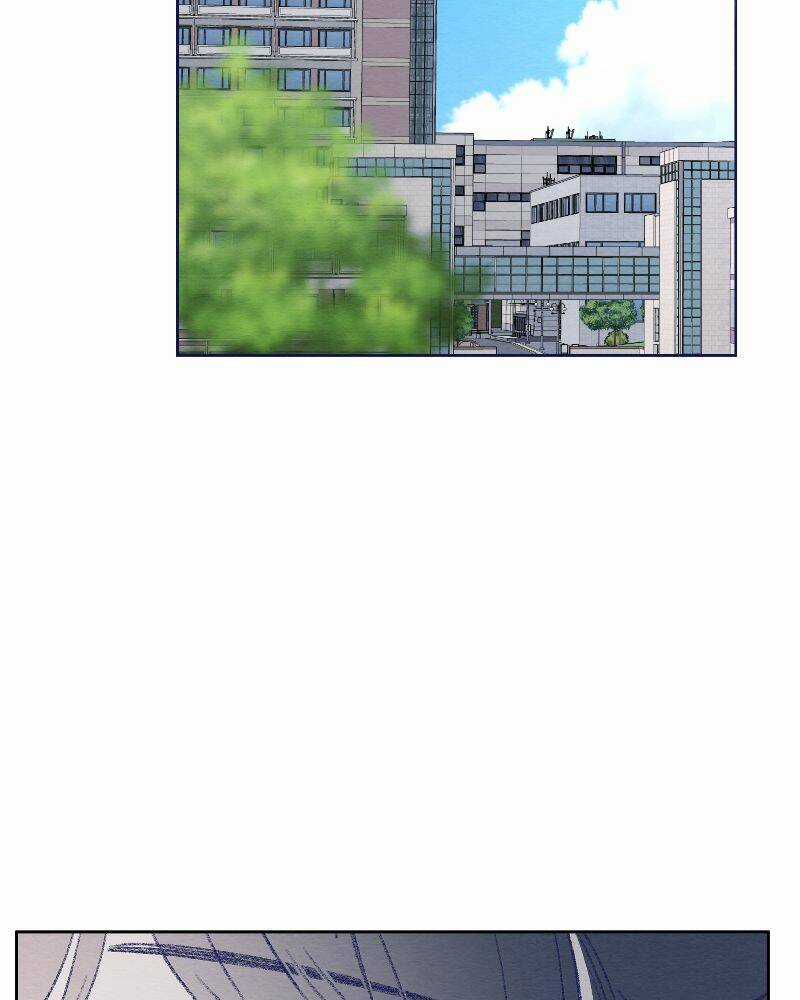 Nice To Meet You - Chapter 77 - Trang 3