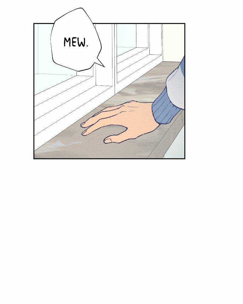 Nice To Meet You - Chapter 77 - Trang 29