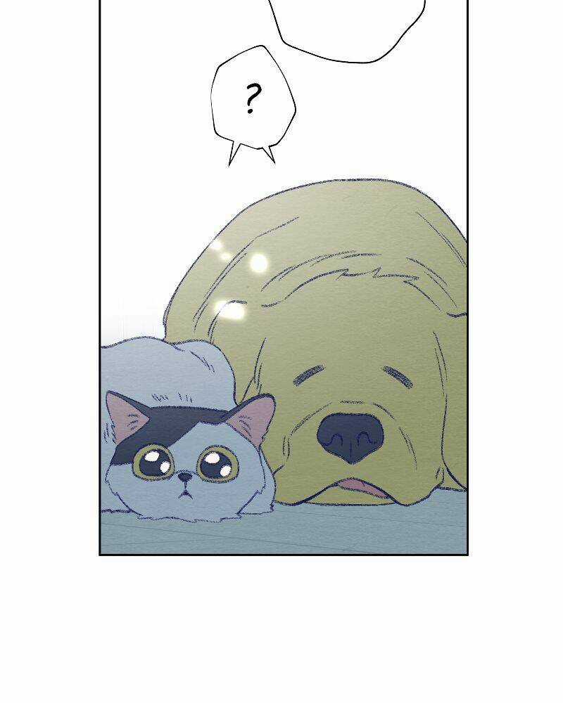 Nice To Meet You - Chapter 77 - Trang 84