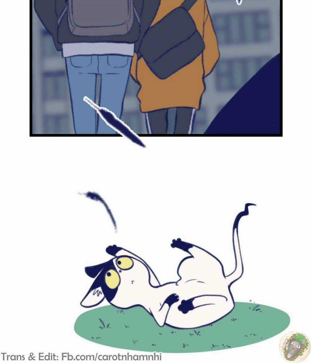 Nice To Meet You - Chapter 8 - Trang 14