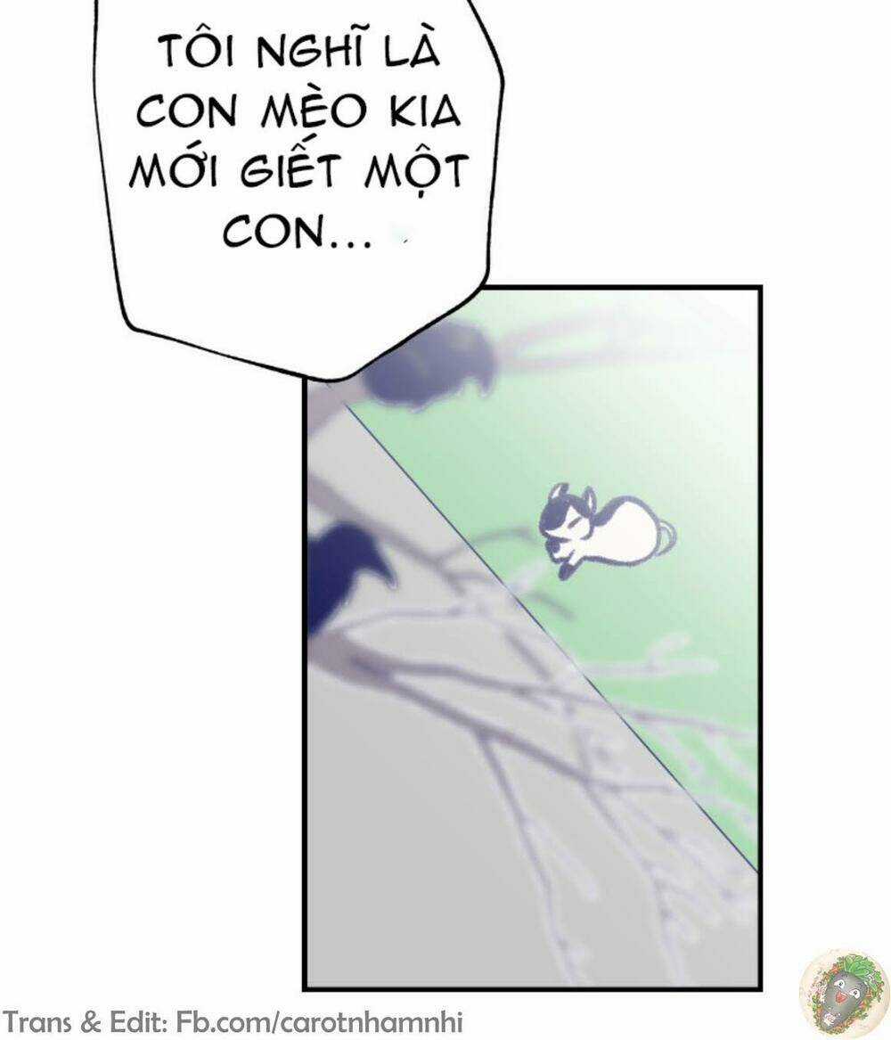 Nice To Meet You - Chapter 8 - Trang 33