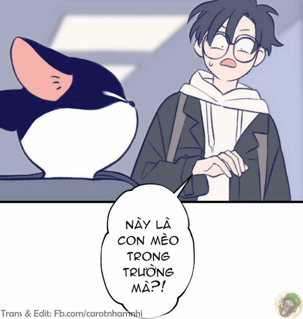 Nice To Meet You - Chapter 9 - Trang 30