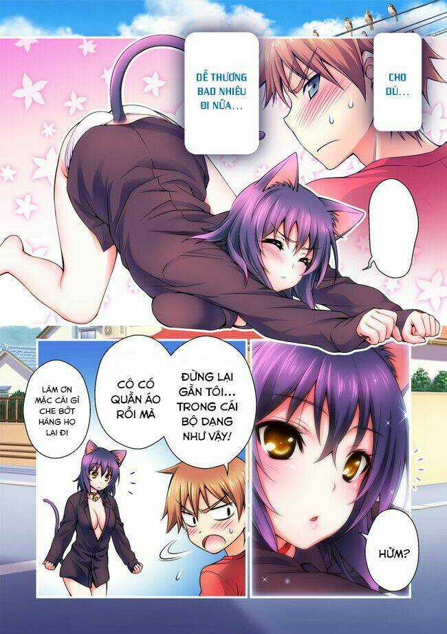 Nikukyuu - Chapter 1 - Trang 17