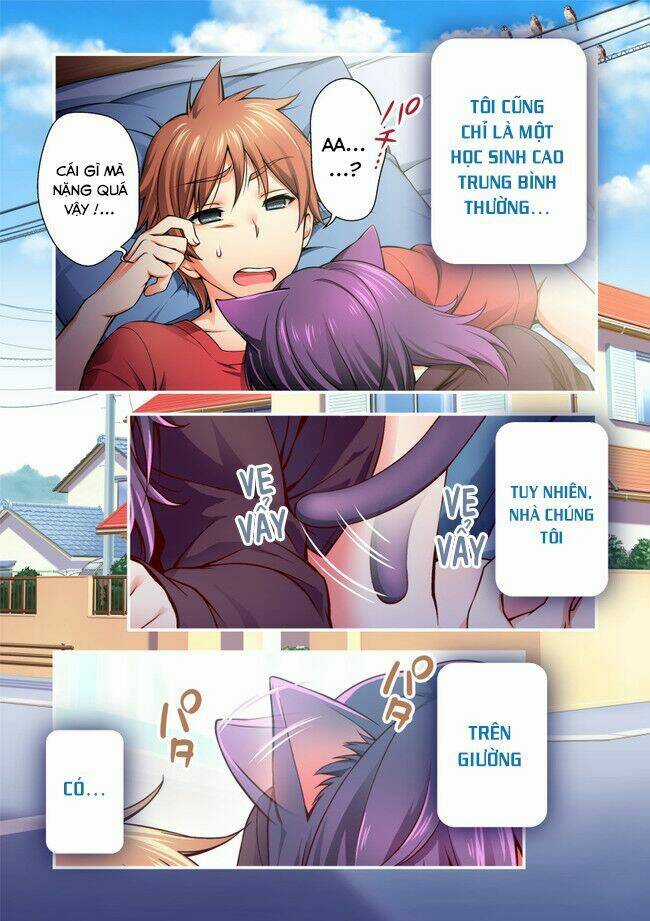 Nikukyuu - Chapter 1 - Trang 5