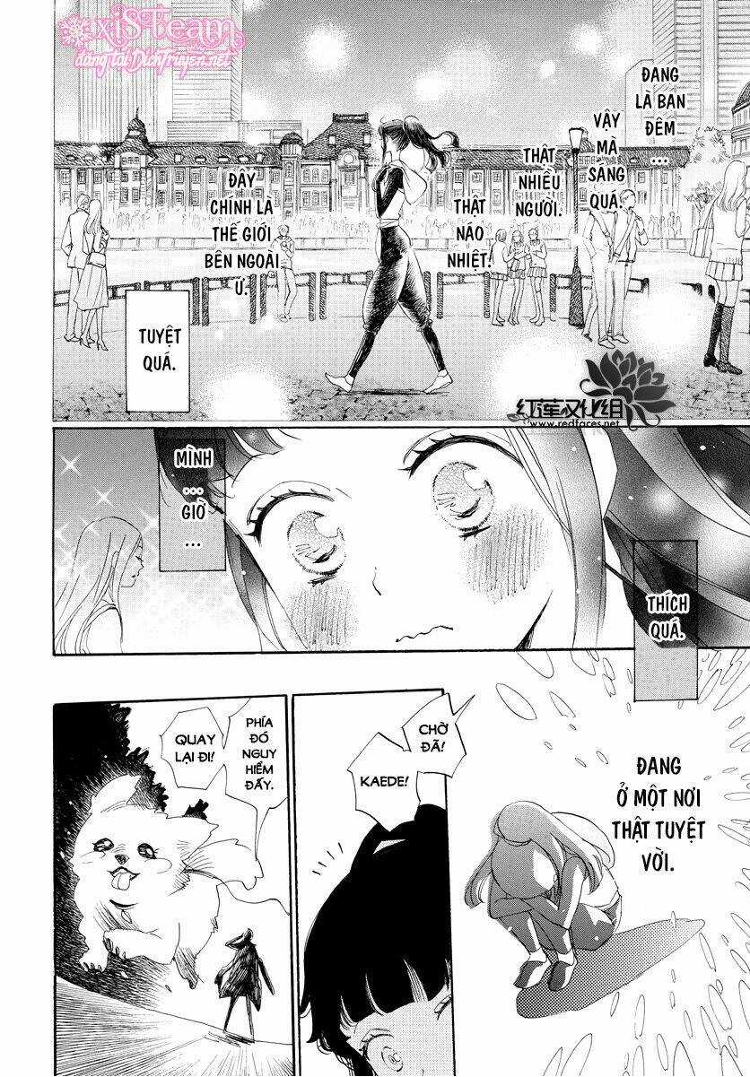 Nin Koi - Chapter 5 - Trang 12
