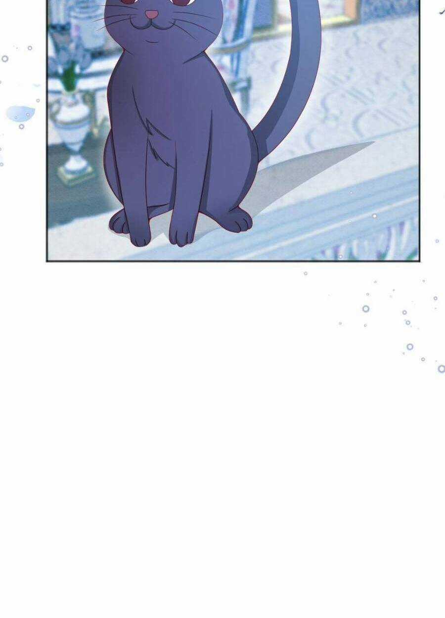 Ninita Yêu Dấu - Chapter 53 - Trang 13