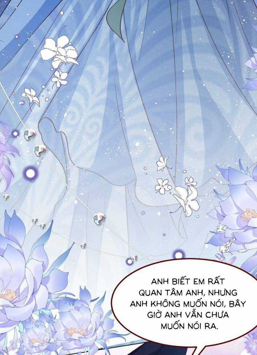 Ninita Yêu Dấu - Chapter 65 - Trang 15