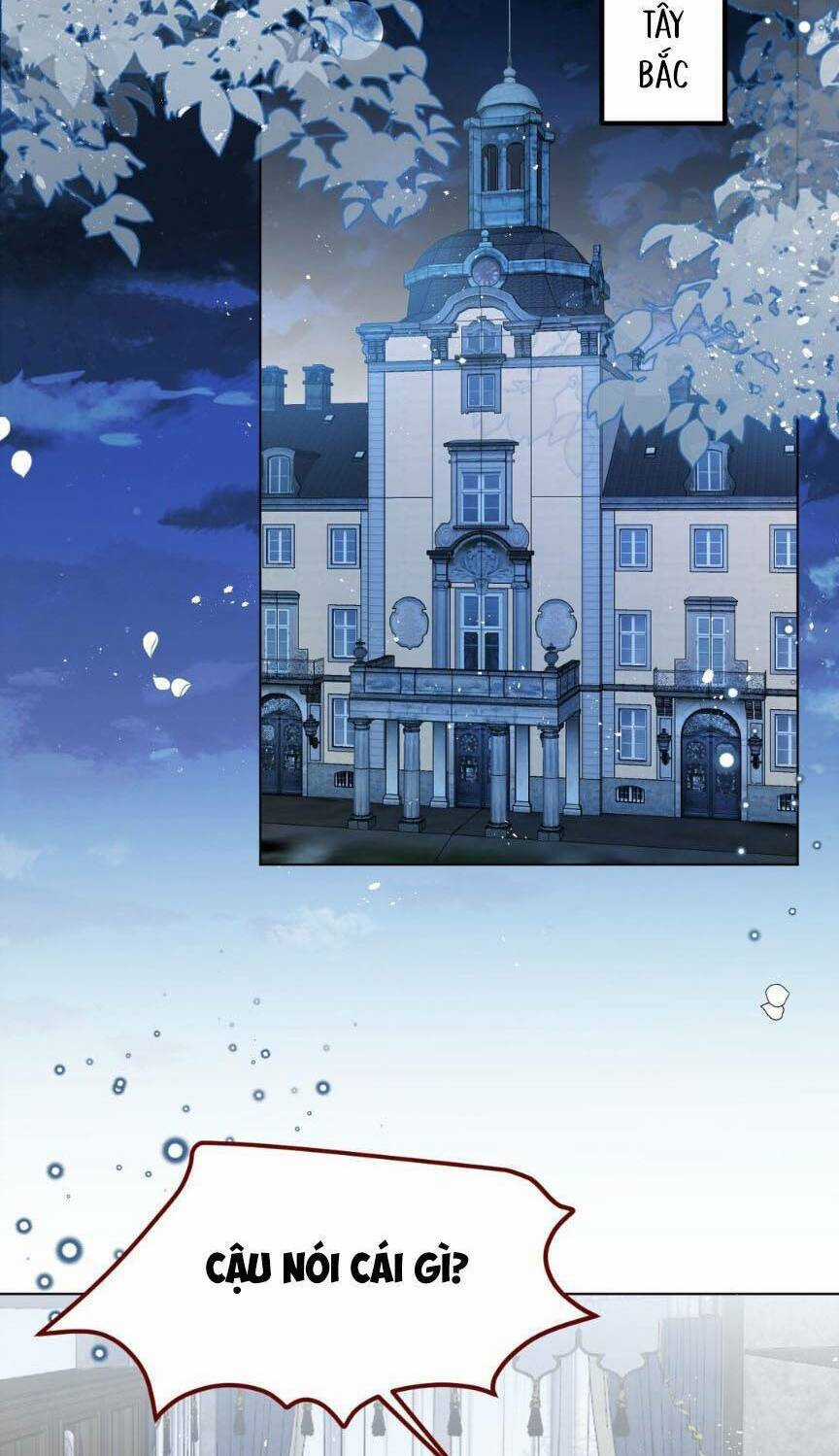 Ninita Yêu Dấu - Chapter 68 - Trang 4