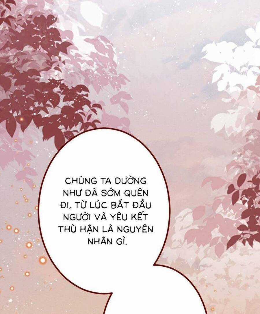 Ninita Yêu Dấu - Chapter 70 - Trang 42