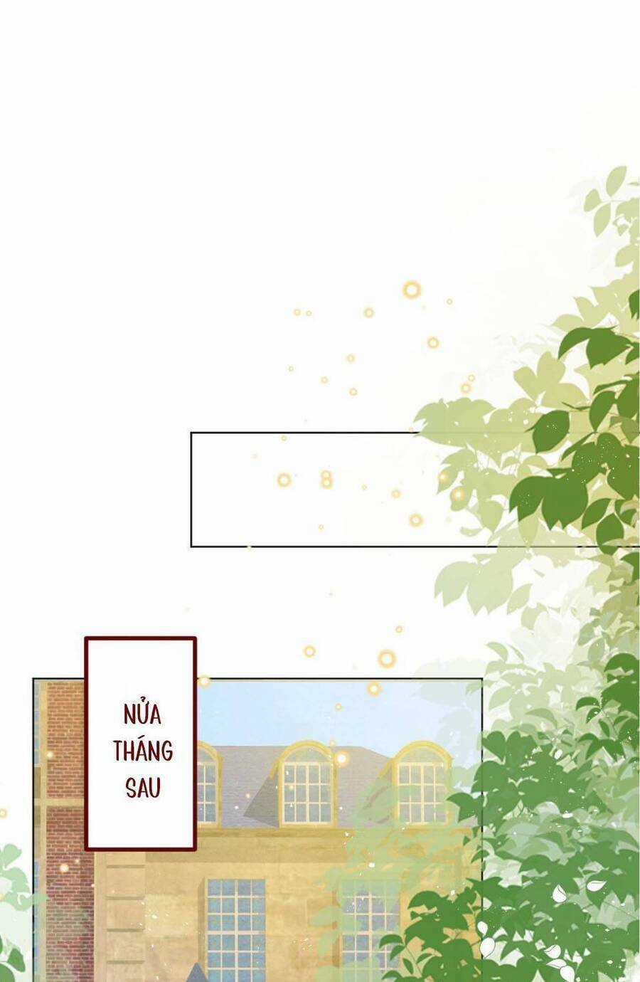 Ninita Yêu Dấu - Chapter 72 - Trang 3