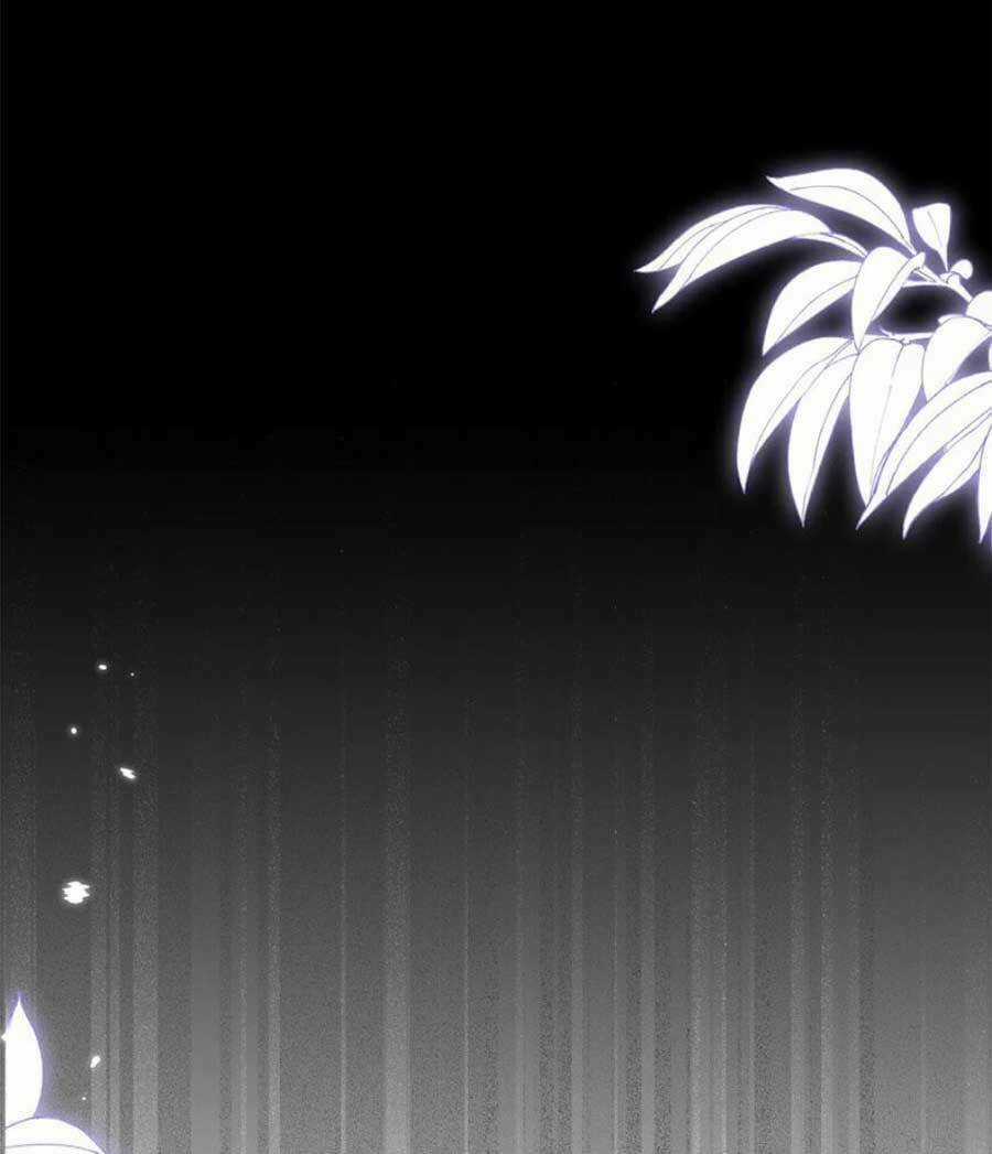 Ninita Yêu Dấu - Chapter 76 - Trang 33