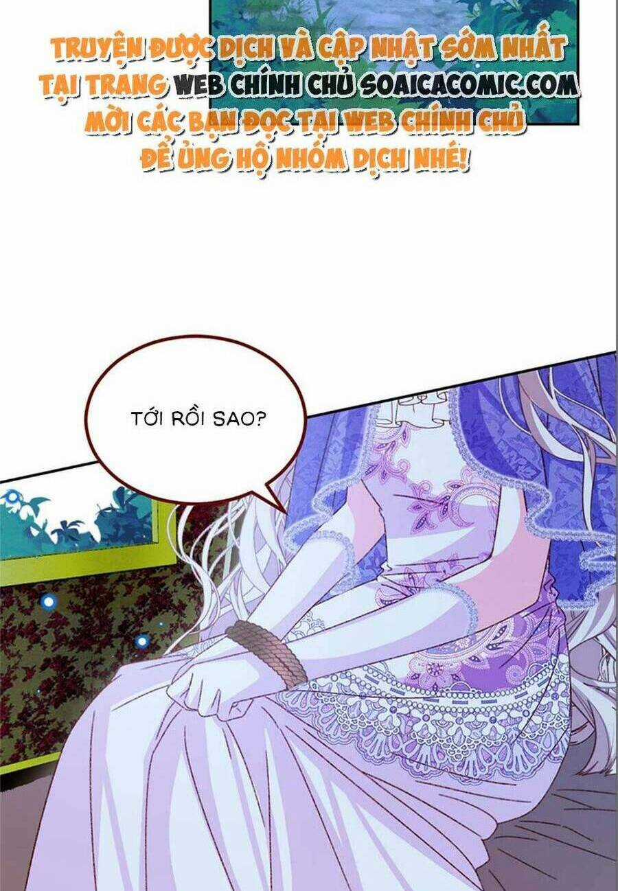 Ninita Yêu Dấu - Chapter 77 - Trang 4