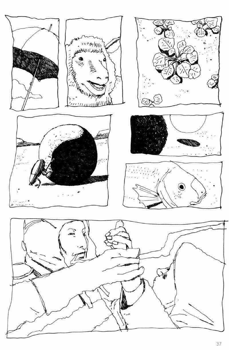 No. 5 - Chapter 5 - Trang 39