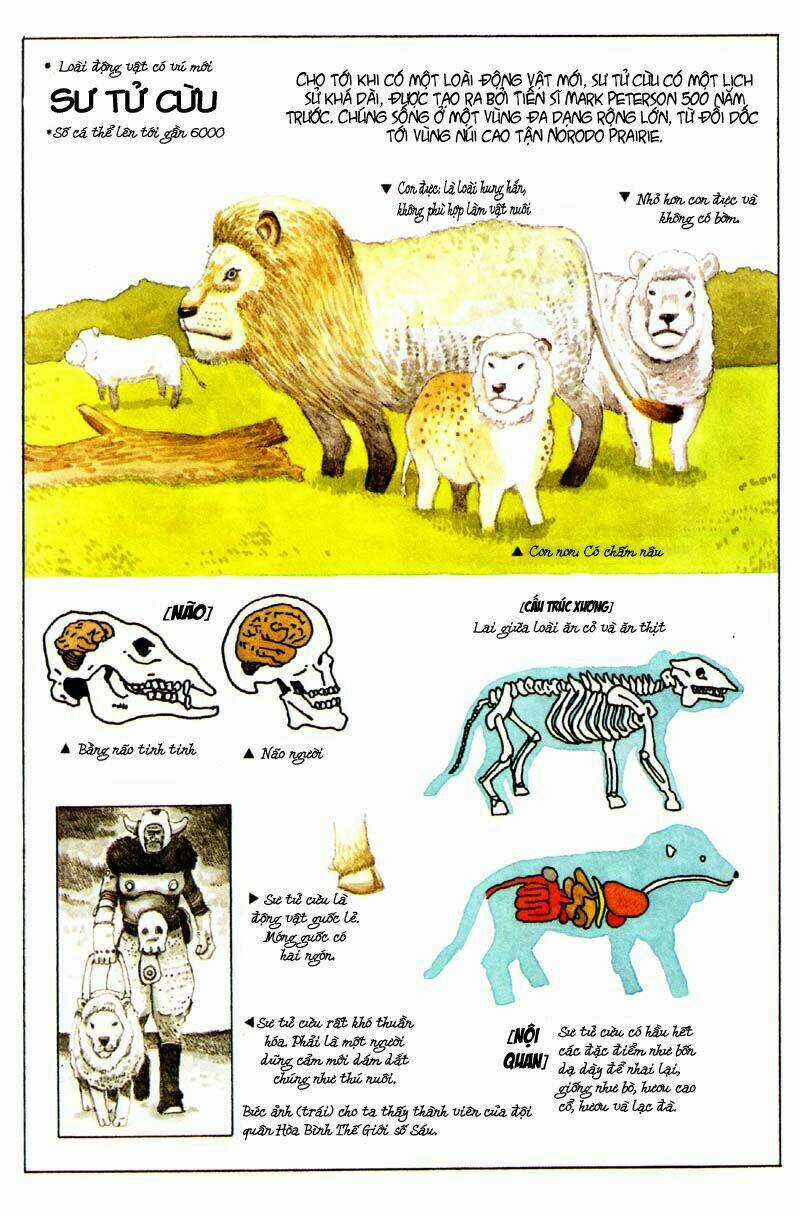 No. 5 - Chapter 5 - Trang 6