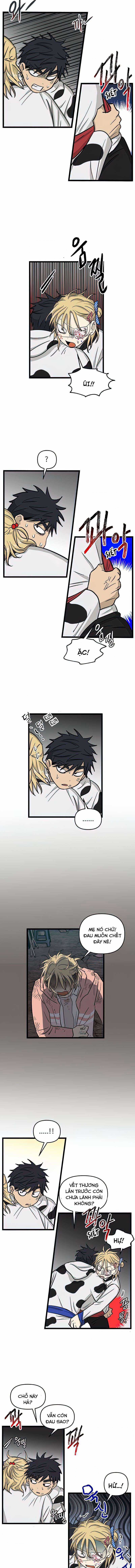 NO HOME - Chapter 164 - Trang 4