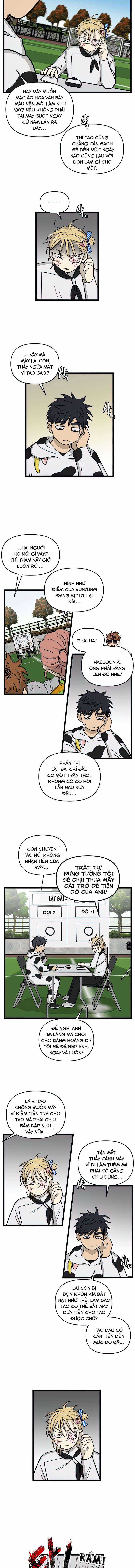 NO HOME - Chapter 165 - Trang 7