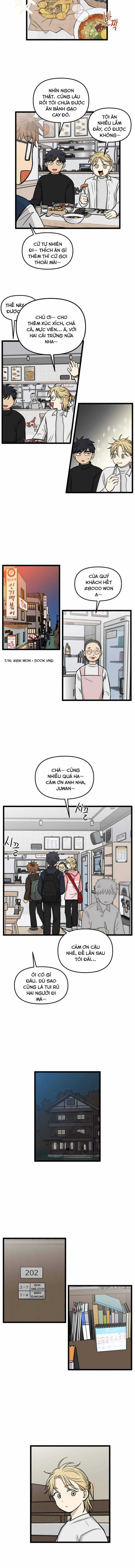 NO HOME - Chapter 186 - Trang 5