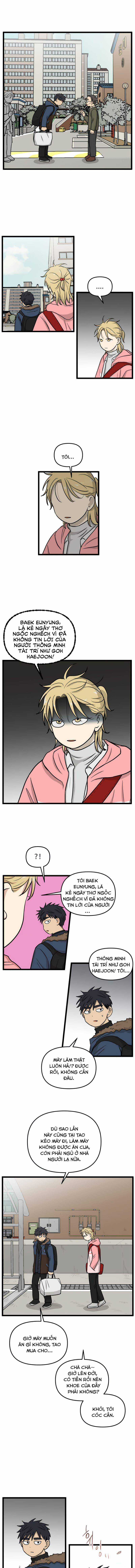 NO HOME - Chapter 191 - Trang 10