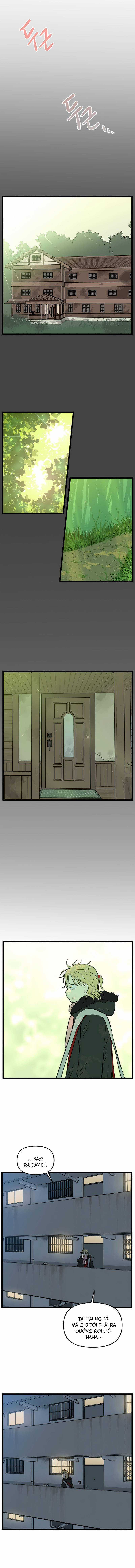 NO HOME - Chapter 206 - Trang 2