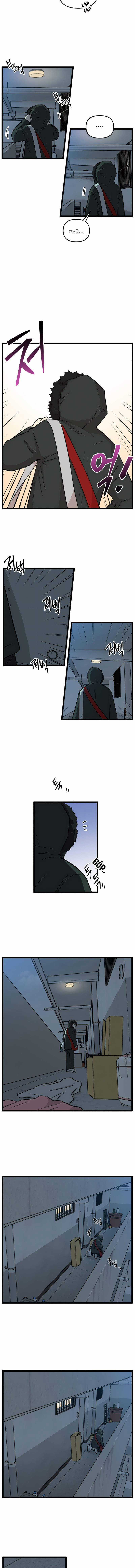 NO HOME - Chapter 206 - Trang 4