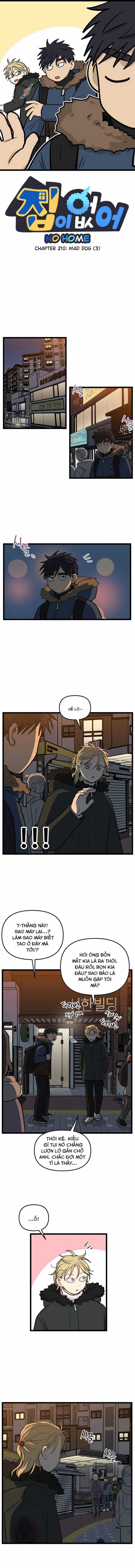 NO HOME - Chapter 210 - Trang 1