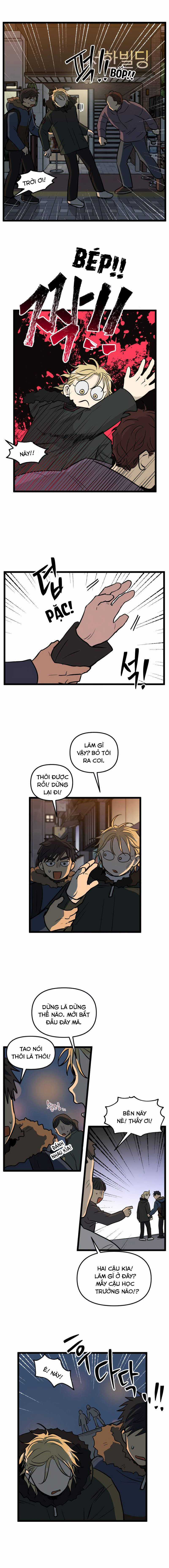 NO HOME - Chapter 210 - Trang 3