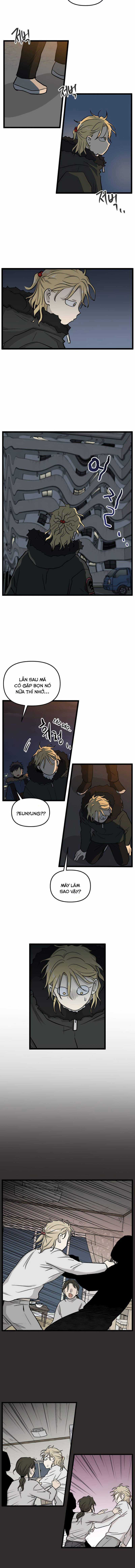 NO HOME - Chapter 210 - Trang 8