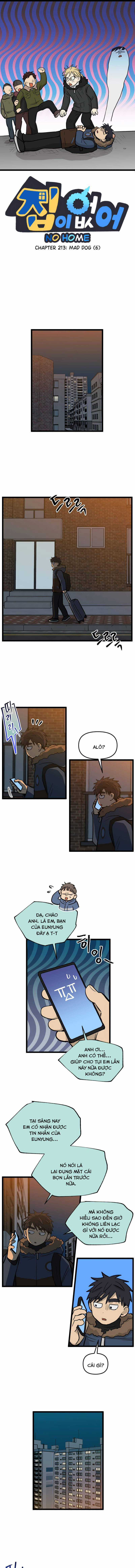 NO HOME - Chapter 213 - Trang 1