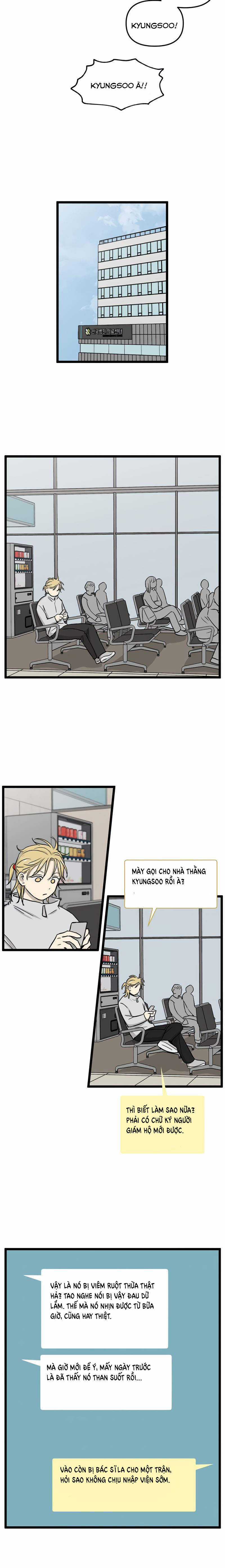 NO HOME - Chapter 221 - Trang 6