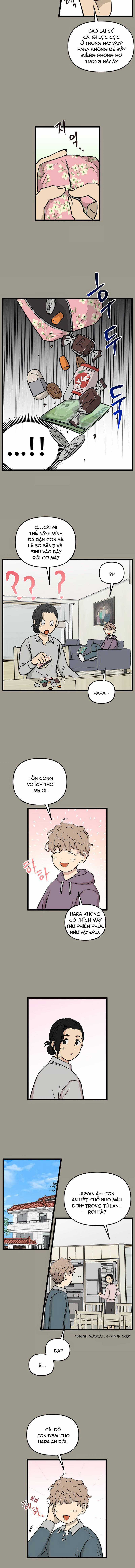 NO HOME - Chapter 226 - Trang 4