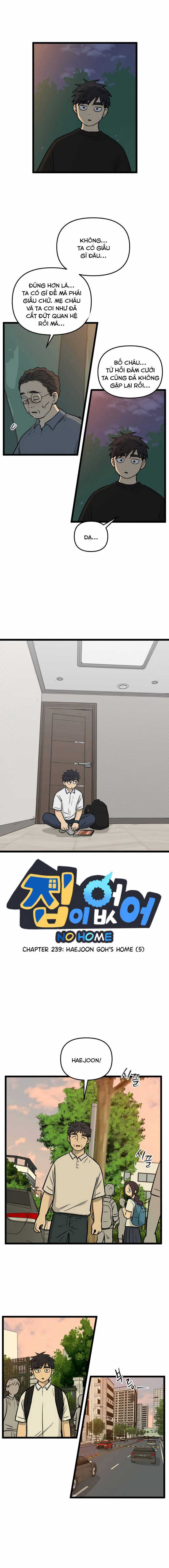 NO HOME - Chapter 239 - Trang 1
