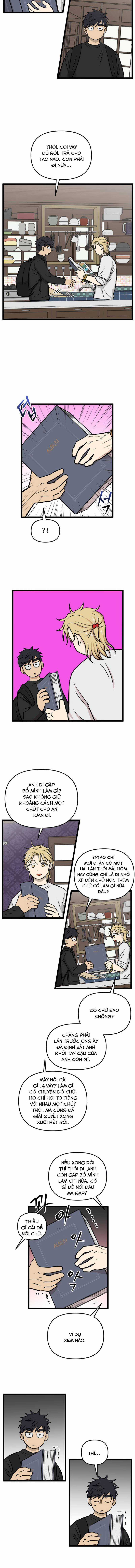 NO HOME - Chapter 242 - Trang 3