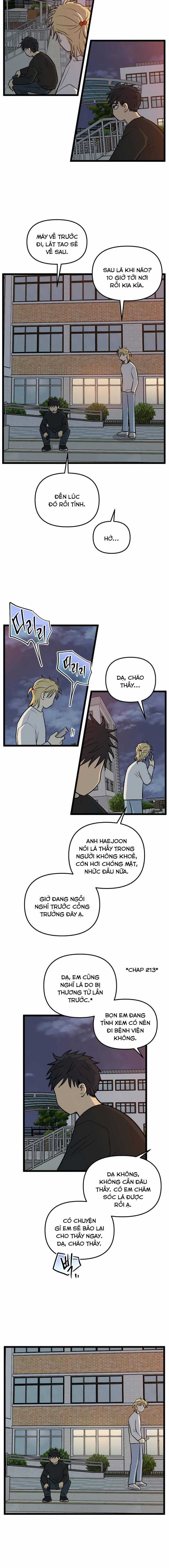 NO HOME - Chapter 243 - Trang 7