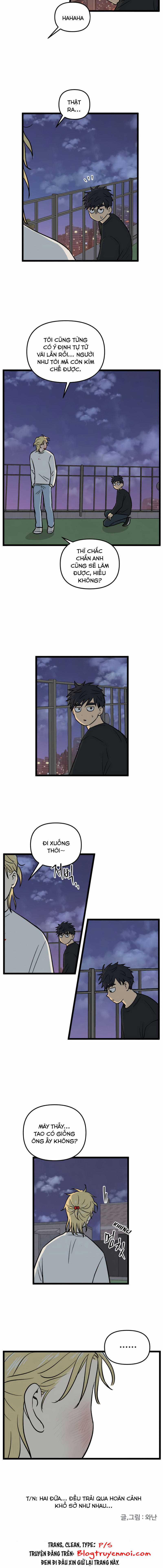 NO HOME - Chapter 244 - Trang 11