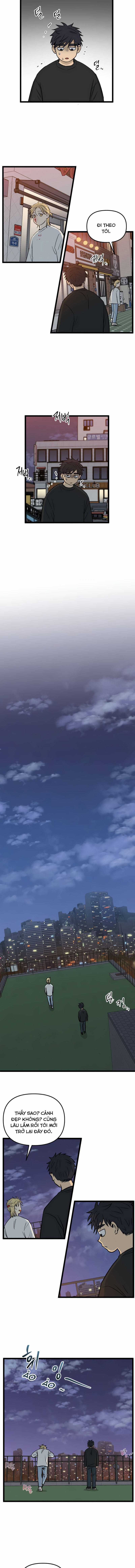 NO HOME - Chapter 244 - Trang 8