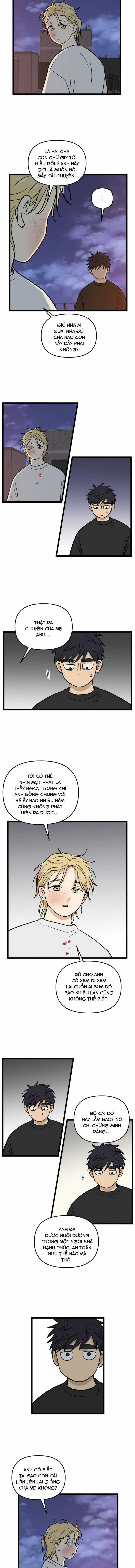 NO HOME - Chapter 245 - Trang 2