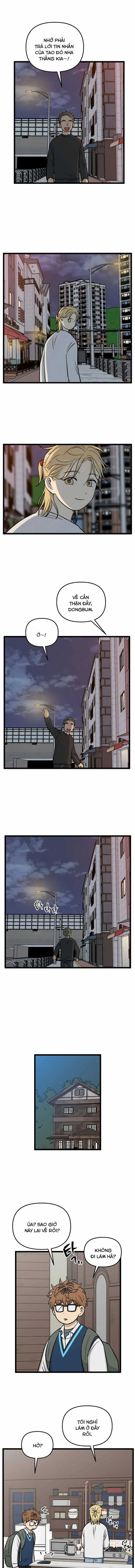 NO HOME - Chapter 246 - Trang 4