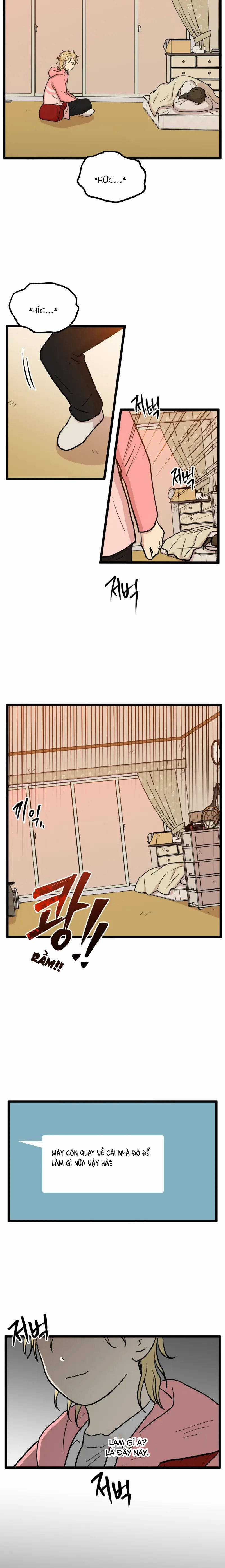 NO HOME - Chapter 254 - Trang 10