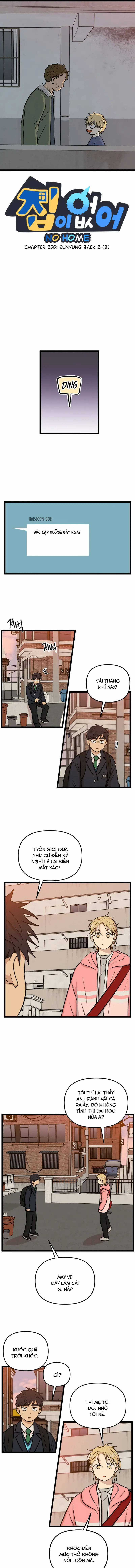 NO HOME - Chapter 255 - Trang 1