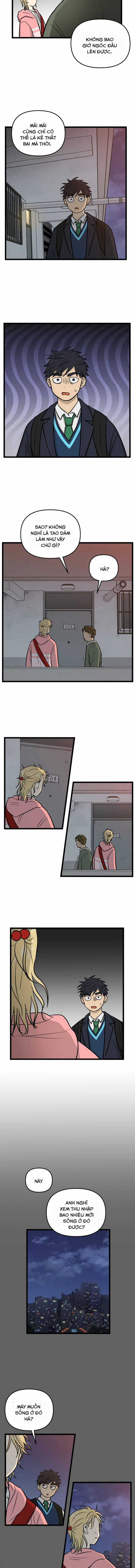 NO HOME - Chapter 256 - Trang 4