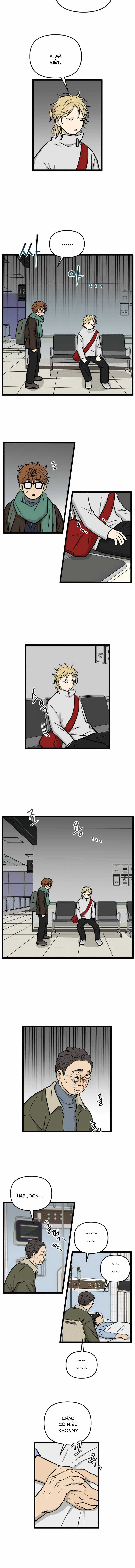 NO HOME - Chapter 266 - Trang 2